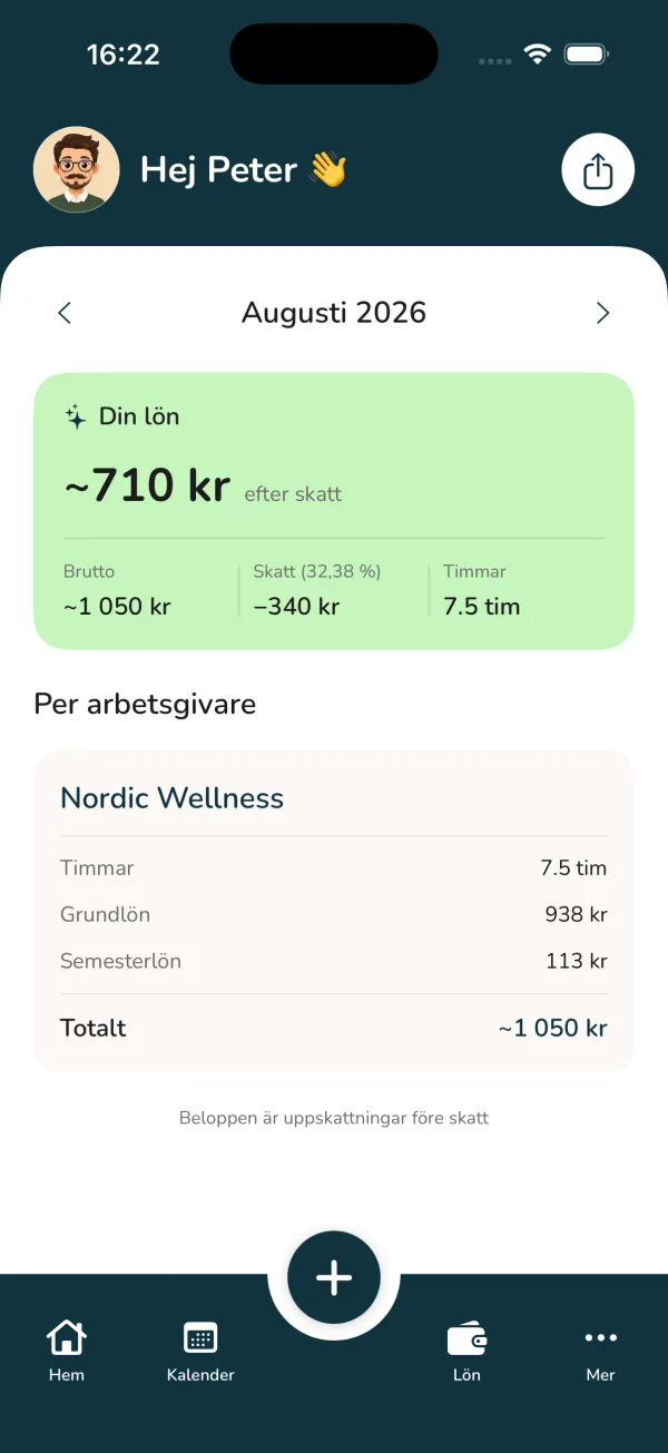 Lönevyn i Klark med netto, brutto och fördelning per arbetsgivare